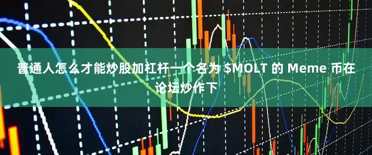 普通人怎么才能炒股加杠杆一个名为 $MOLT 的 Meme 币在论坛炒作下
